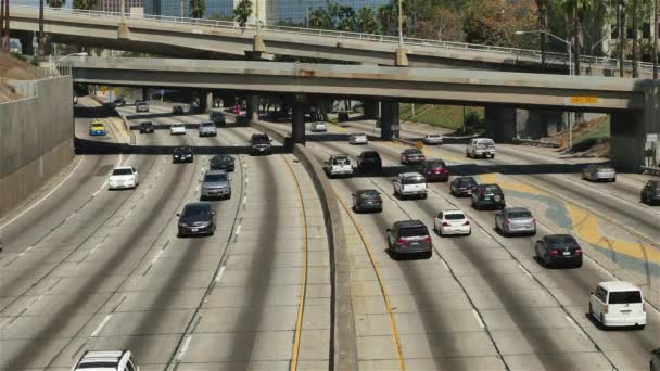 Trafic sur les rues achalandées du centre-ville — Video