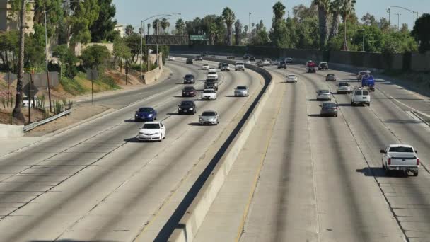 Freeway Traffic in Los Angeles — Stock Video