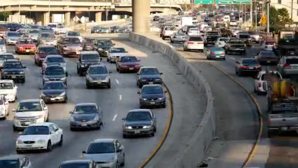 View of Traffic on Busy Freeway in Downtown — Stock Video