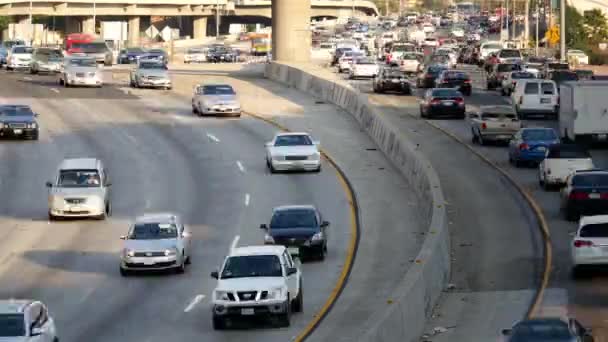 View of Traffic on Busy Freeway in Downtown — Stock Video