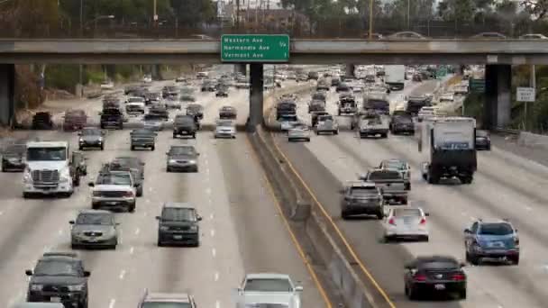 Circulation sur l'autoroute achalandée au centre-ville — Video