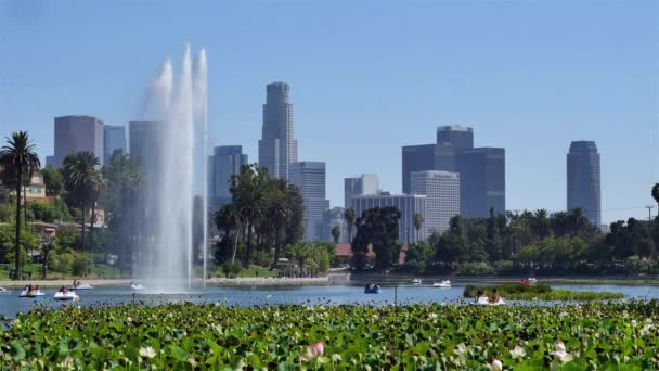 Water Fountain in Echo Park — Stock Video