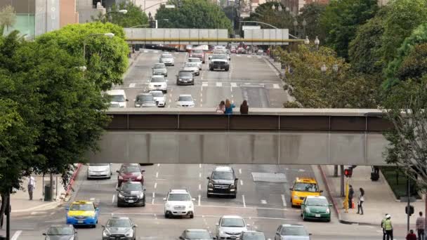 Pedestrians in Downtown Los Angeles California — Stock Video