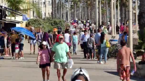 Multitudes en la acera peatonal ocupada — Vídeo de stock