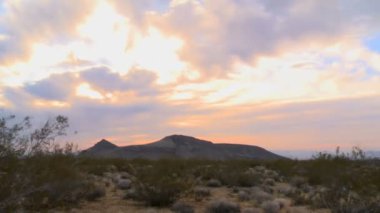 Sıcak Çöl Güneşi