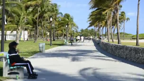 Miami Beach fotgängare — Stockvideo