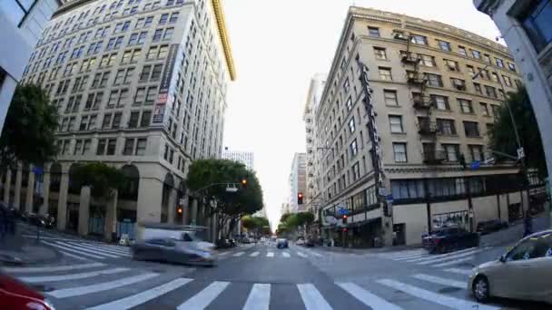 Gatorna i Los Angeles — Stockvideo