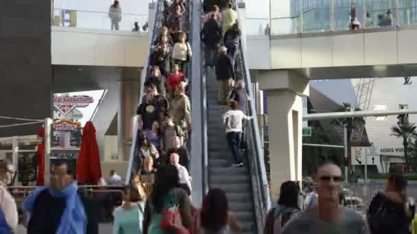 라스 베가스에서 보행자 다리 — 비디오