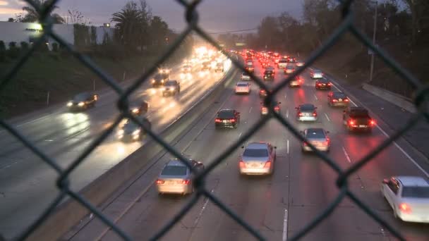 Freeway Traffic in Los Angeles — Stock Video