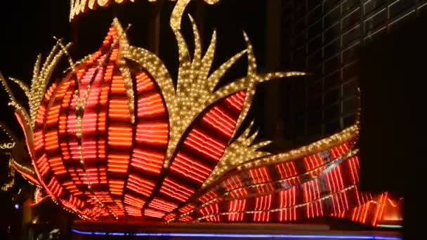 Las Vegas Casino Luci — Video Stock