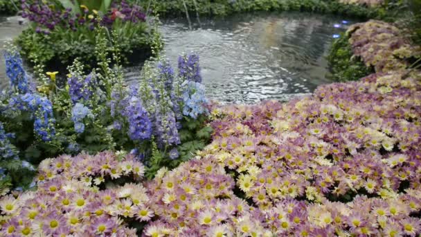 Malowniczy ogród kwiatowy — Wideo stockowe