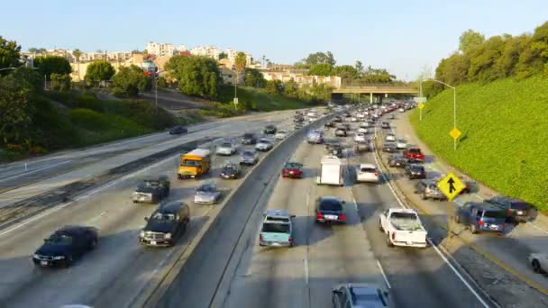 Freeway Traffic in Los Angeles — Stock Video