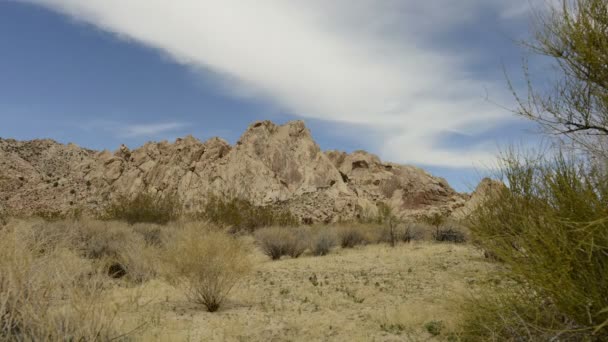 Conservación del desierto de Mojave en California — Vídeos de Stock