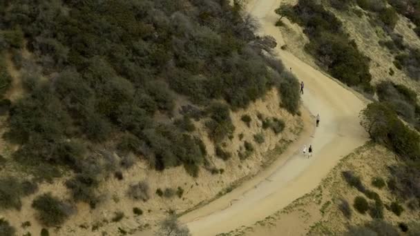 Cyclists on mountain road — Stock Video