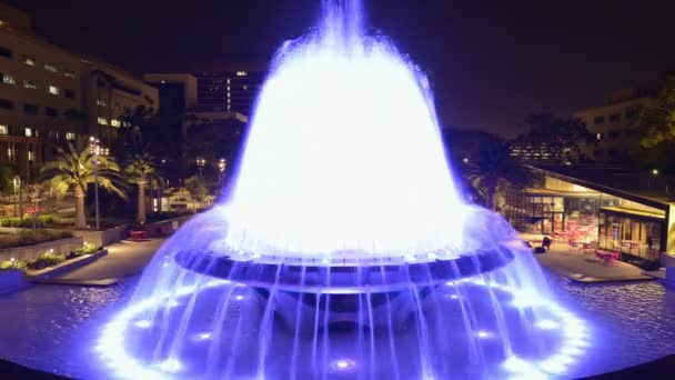 Los Angeles City Hall and Fountain Nighttime — Stock Video