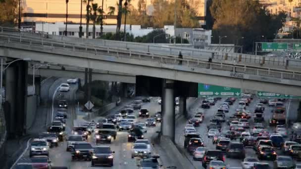 Verkeer in los angeles — Stockvideo