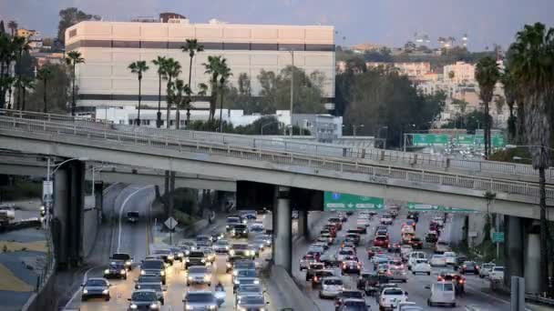 Trafik i los angeles — Stockvideo