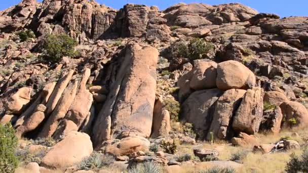 Paisagem panorâmica do deserto — Vídeo de Stock