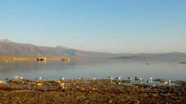 Doğal Mono Gölü Kaliforniya
