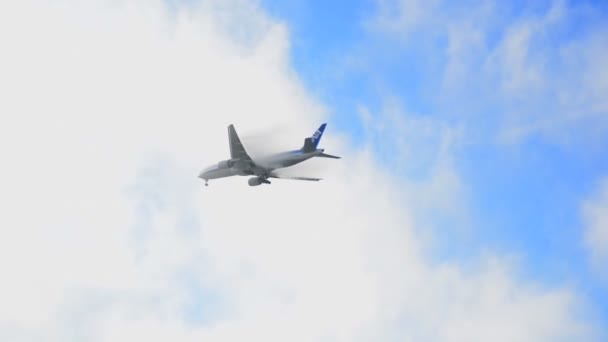 Uçan uçağın alt görünümü — Stok video