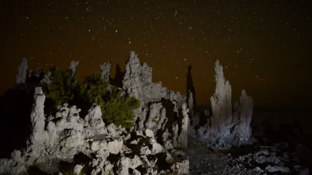 Mono Lake Tufa Tower Perseiderna meteorregn — Stockvideo