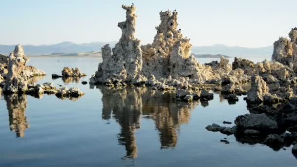 Malownicze Mono Lake w Kalifornii — Wideo stockowe