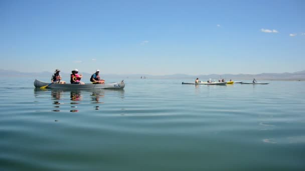 Kajak-kenu nézet a Mono Lake California — Stock videók