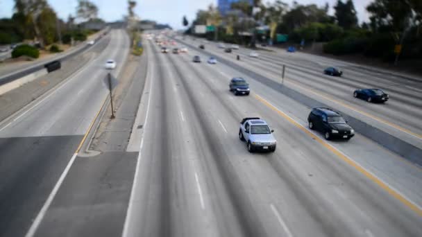 Trafic de jour dans le centre-ville — Video