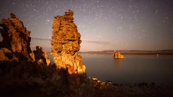 Deszcz meteorów mono Lake martwica wieża Perseids — Wideo stockowe