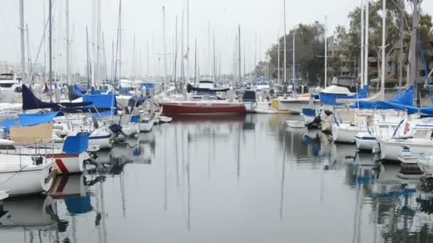 Segelbåtar och yachter på Marina — Stockvideo