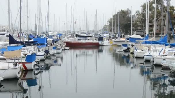 Bărci cu pânze și iahturi pe port — Videoclip de stoc