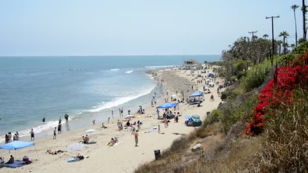 Crowded Santa Monica Beach California — Stock Video