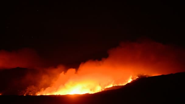 Stor skogsbrand på natten — Stockvideo