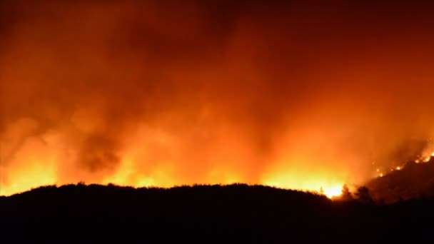 Grande incêndio florestal à noite — Vídeo de Stock