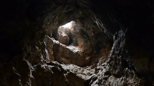 Raios de luz brilham dentro da caverna do tubo da lava — Vídeo de Stock