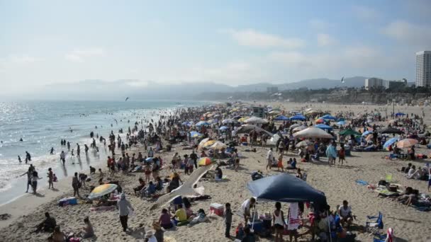 Zatłoczone Santa Monica Beach California — Wideo stockowe