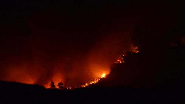 Gran incendio forestal en la noche — Vídeo de stock