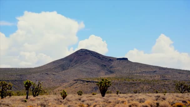 Día Reserva Nacional de Mojave — Vídeos de Stock