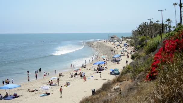 Crowded Santa Monica Beach California — Stock Video