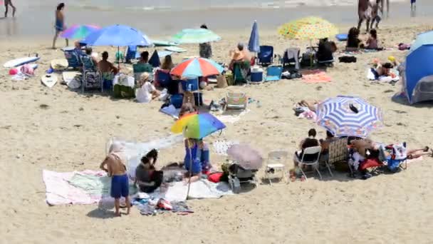 Überfüllter Santa Monica Strand Kalifornien — Stockvideo