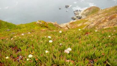 point reyes, zaman atlamalı