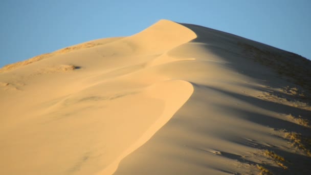 Dune di sabbia dorata al tramonto — Video Stock