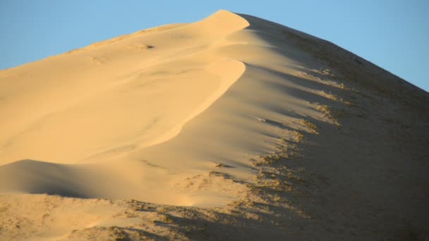 Dunas de arena dorada al atardecer — Vídeos de Stock