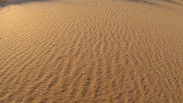 Panela de Golden Sand Dunes — Vídeo de Stock