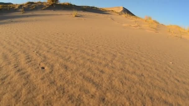 Pan de dunes de sable doré — Video