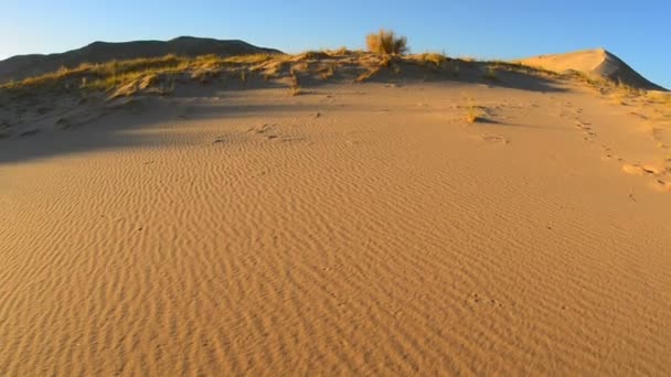 Pan di dune di sabbia dorata — Video Stock