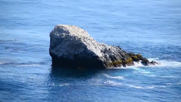 Vagues océaniques s'écrasant sur les rochers — Video