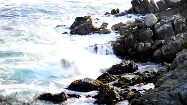 Ondas oceânicas do Pacífico batendo em rochas — Vídeo de Stock