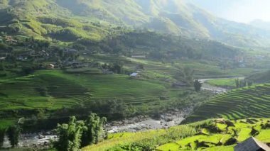 Yeşil Vadi içinde pirinç terasları