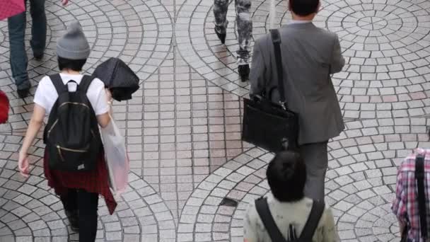 Pedestrians walking on a Rainy Day — Stock Video